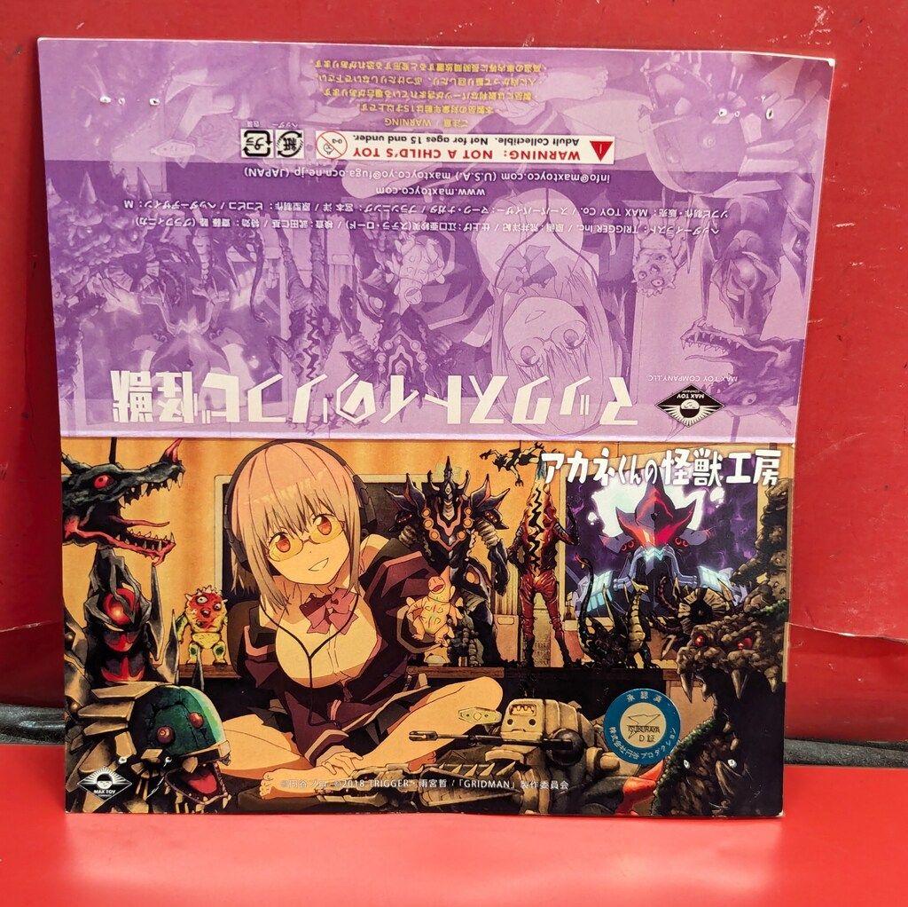 恩師小谷喜美生先生百年記念 限定版 霊友会 DVD VHS 恩師小谷喜美生