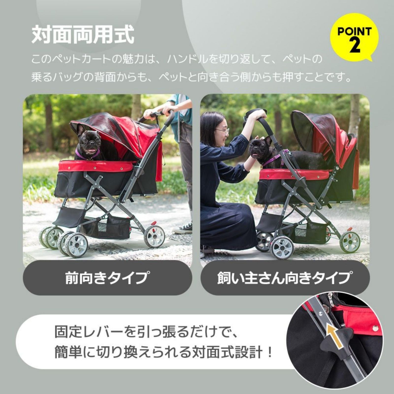 動物