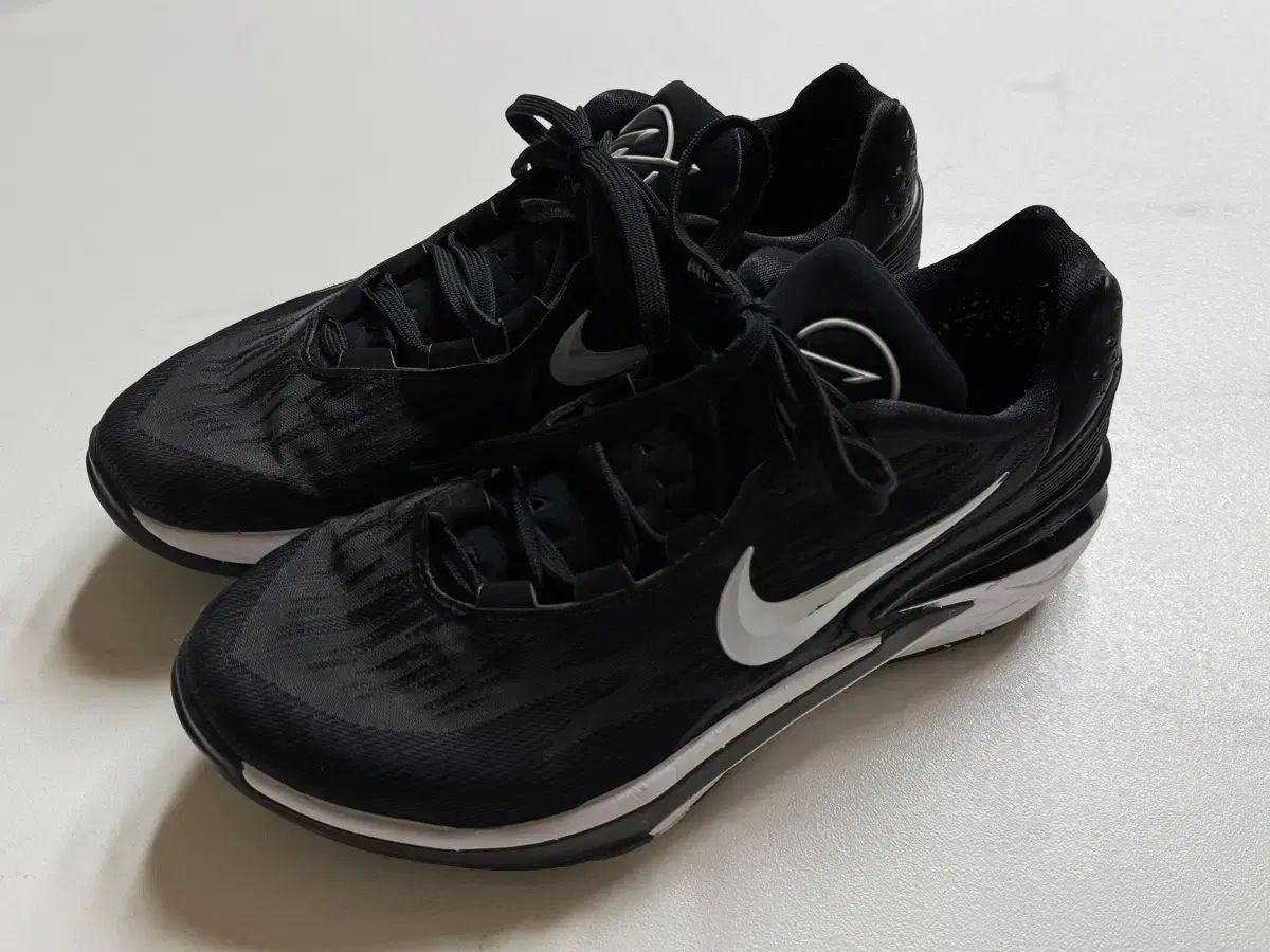 NIKE(ナイキ) エア ズーム GT カット 2 EP DJ6013 ー 006 バスケットシューズ 265