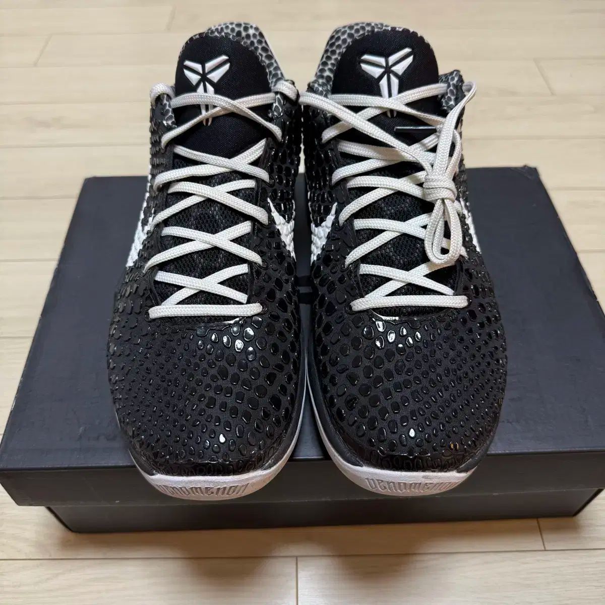 6 ブラックマンバ