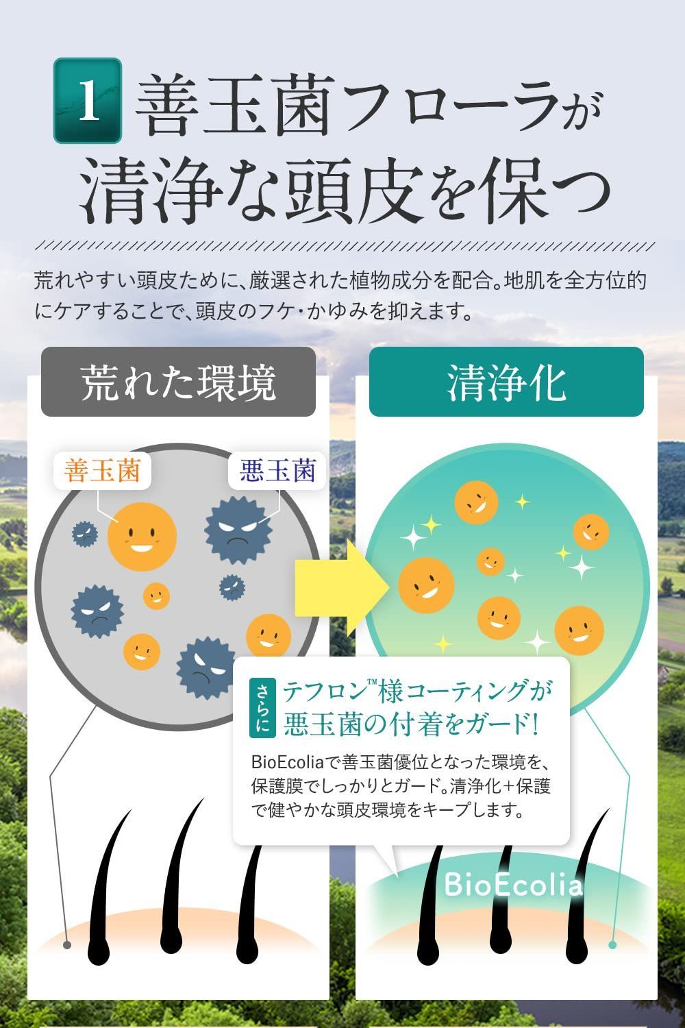 すっぴん地肌シャンプー＆すっぴん艶髪トリートメント＆うるおい地肌化粧水セット