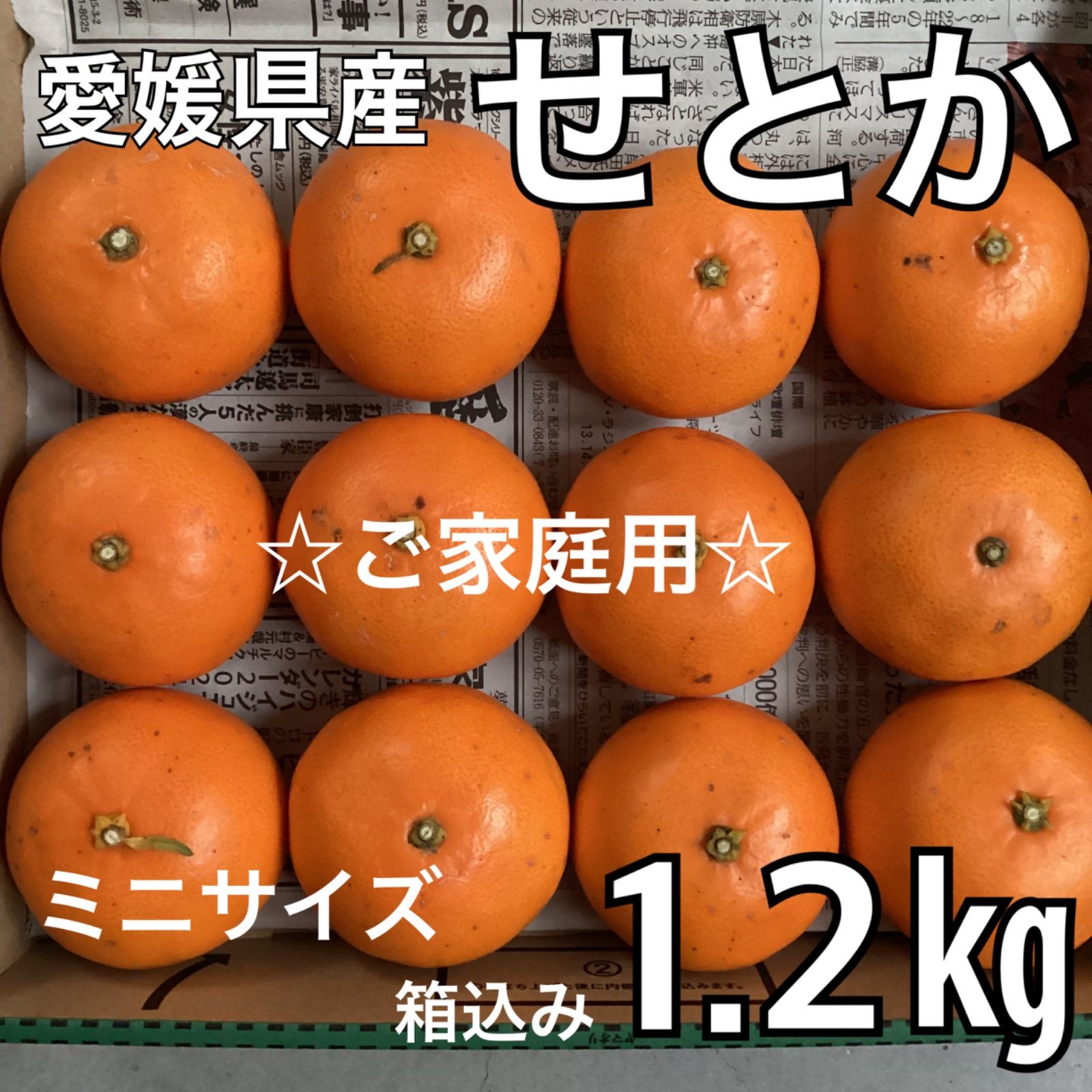 ☆ご家庭用☆ 愛媛県産 せとか 小玉 1.2kg(12個) コンパクトボックス