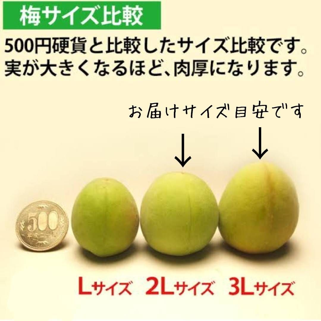 残りわずか!】冷凍完熟南高梅4kg - メルカリ 残りわずか!】冷凍完熟南高梅4kg - メルカリ