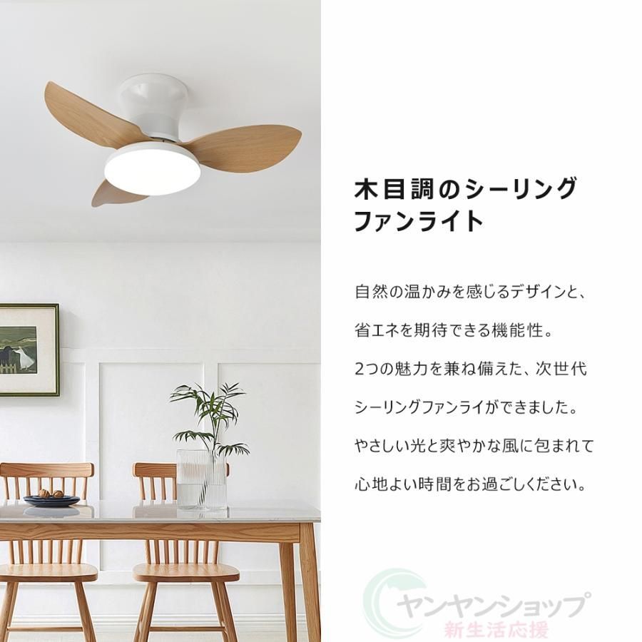 led 直径100
