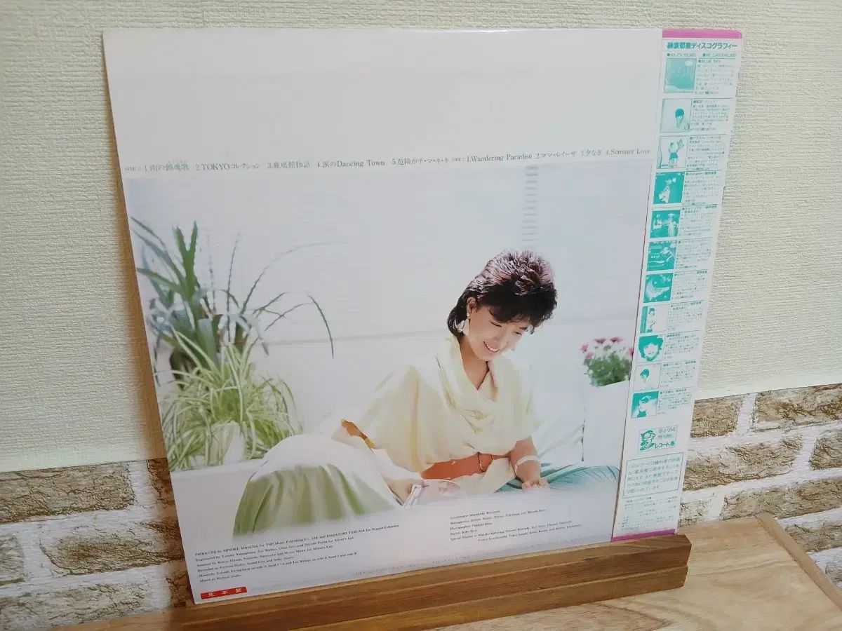 日本 シティポップ lp 3 腸 【公式通販】