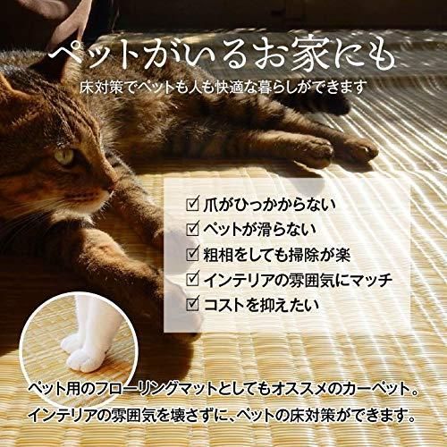 本間6畳