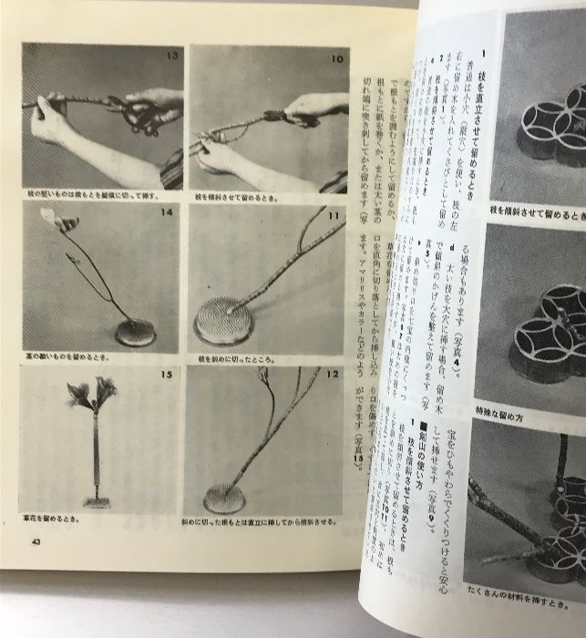 【希少！】小原流いけ花入門―すぐわかる分解写真式 希少！】小原流いけ花入門―すぐわかる分解写真式 - メルカリ
