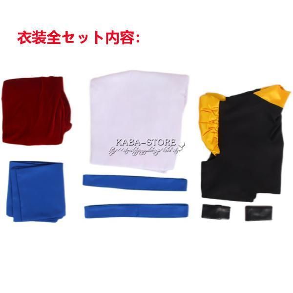 スチューム 演出服