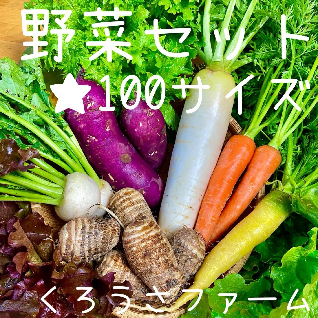 オプティミスティック 野菜詰め合わせ (100サイズ 農薬不使用) - 通販