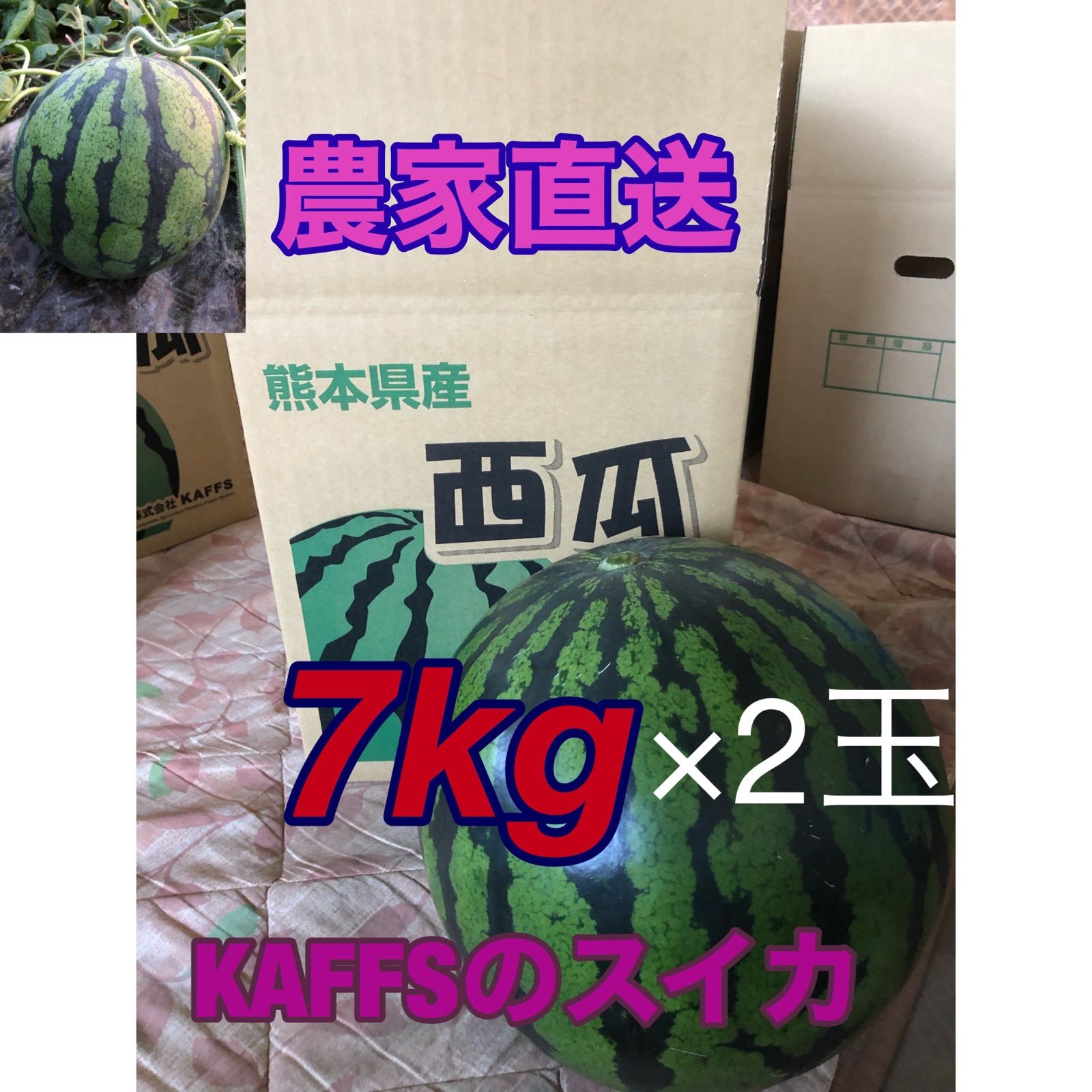 大玉スイカ7kg2個入り 熊本県菊池産 西瓜