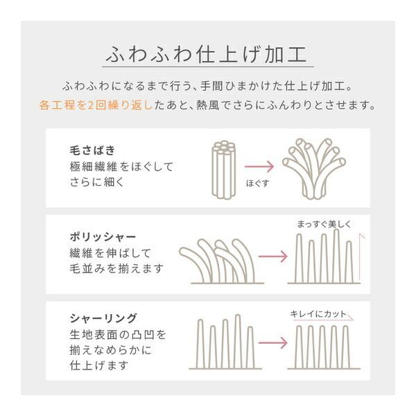 mofua モフア