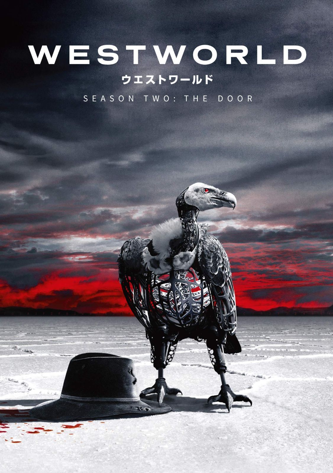 ウエストワールド 2ndシーズン DVD コンプリート・ボックス (1~10話/3枚組)