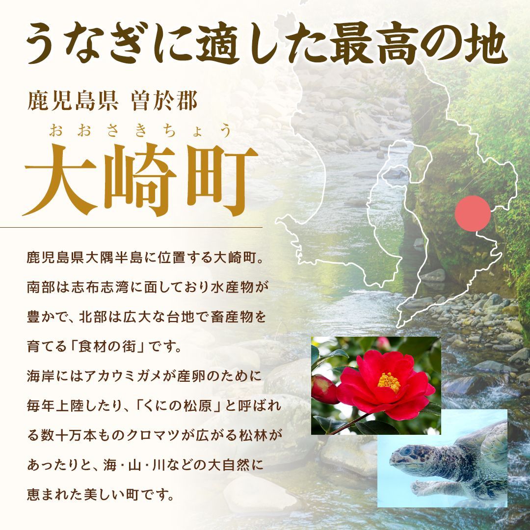 産 鹿児島県産