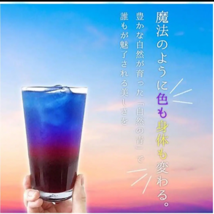 青いお茶 個包装 バタフライピーティー 10個セット 色が変わる アントシアニン 1包でたっぷり1L～2L分❣️  バタフライピー タイ産 眼精疲労を軽減 飲む日焼け止め  毎日あきない無味  無糖 無添加  ノンカフェイン プチギフト
