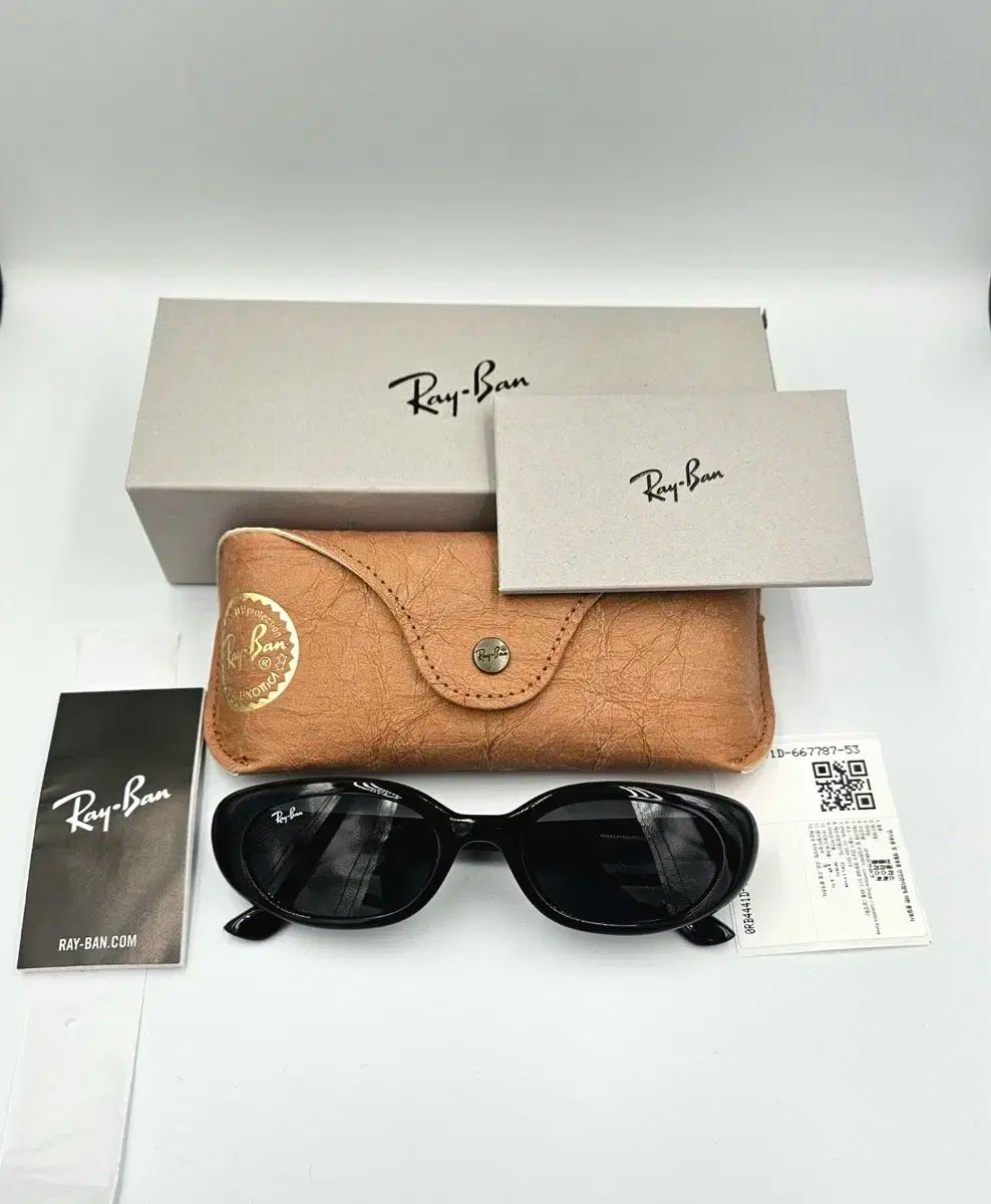 新品) レイヴン RB4441D 667787 ギークシックサングラス チャン