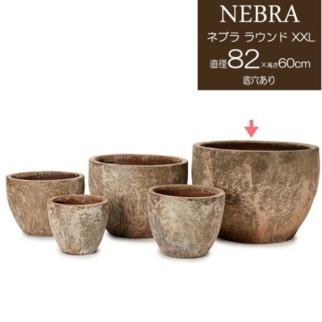 古賀文博 朽る 植木鉢 作家鉢 塊根 浅鉢 大鉢 古賀文博 朽る 植木鉢