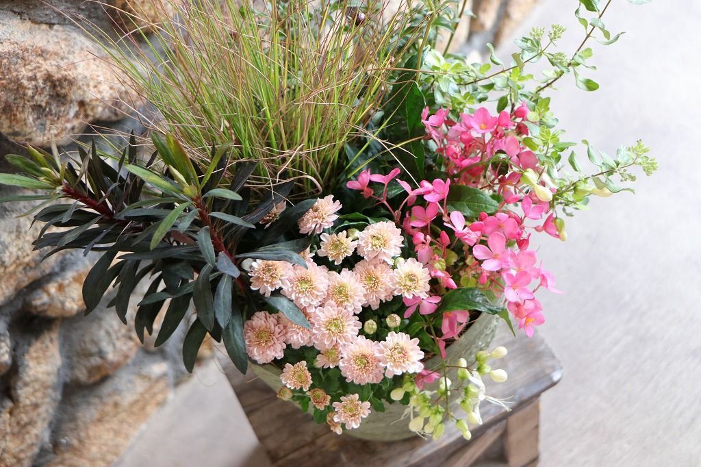 秋の草花のエレガントスタイル寄せ植え