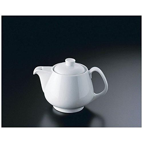 3営業日で発送 Rosenthal ＲＴ エポック １０６３０－３４２２１ティーポット３人用 RLCC901