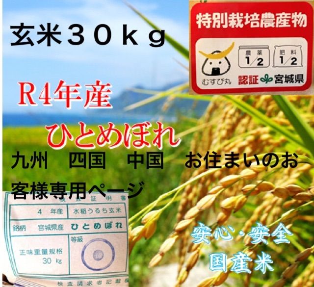 ４年 宮城県産 ひとめぼれ 1等米 環境保全米 玄米 ３０ｋｇ お米