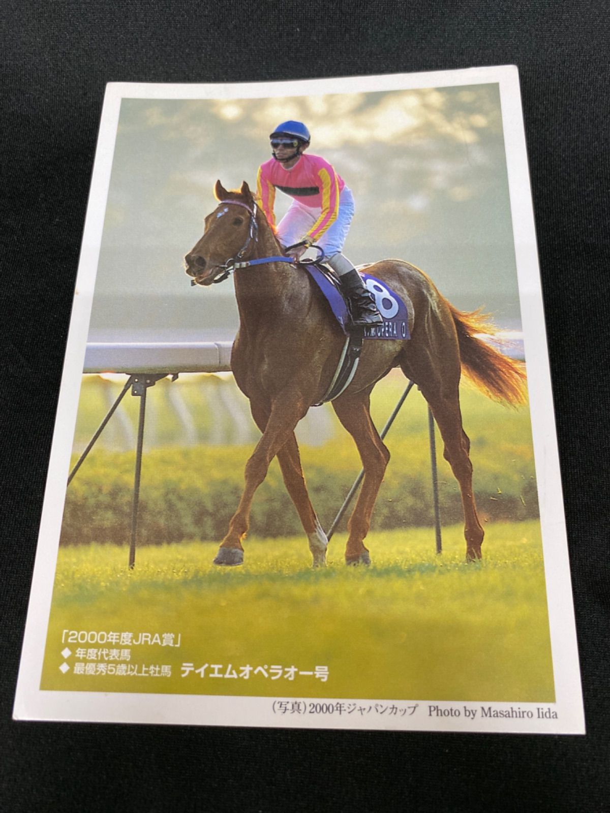 競馬］テイエムオペラオー（2000年・年度代表馬）ポストカード／ジャパンカップ／和田竜二／JRA／非売品 - メルカリ