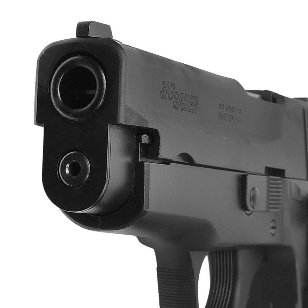 TANAKA WORKS 発火式モデルガン SIG P228 Evolution 2 オール