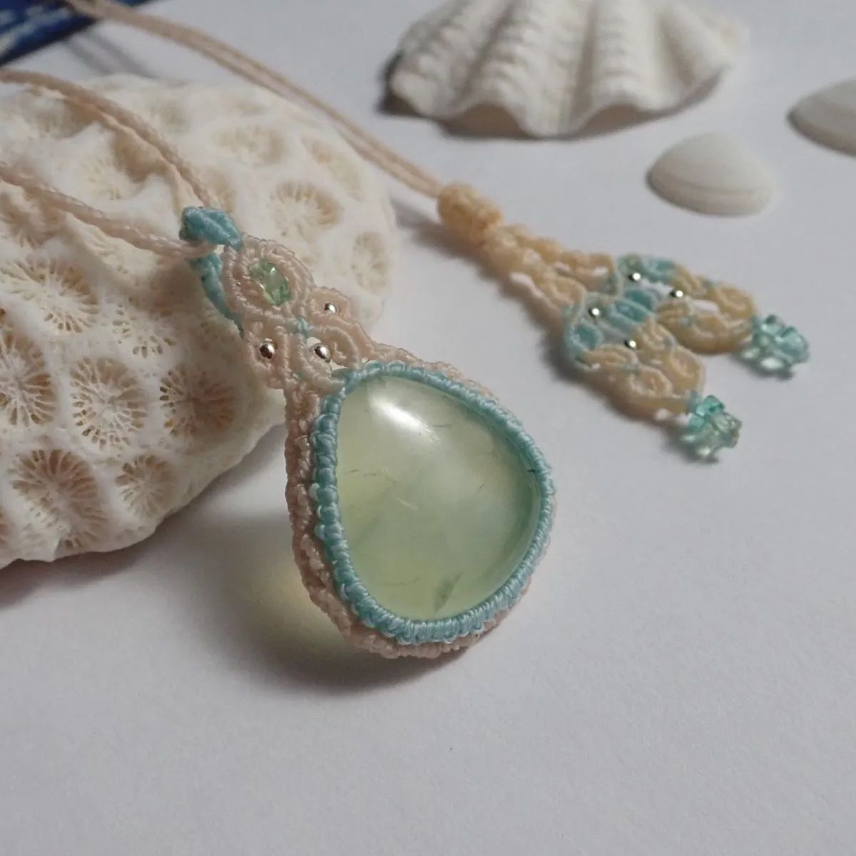 笹の雪白覆輪 氷山 鉢ごと 発根済み ⑧アガベ 笹の雪 中斑 特選株 検索