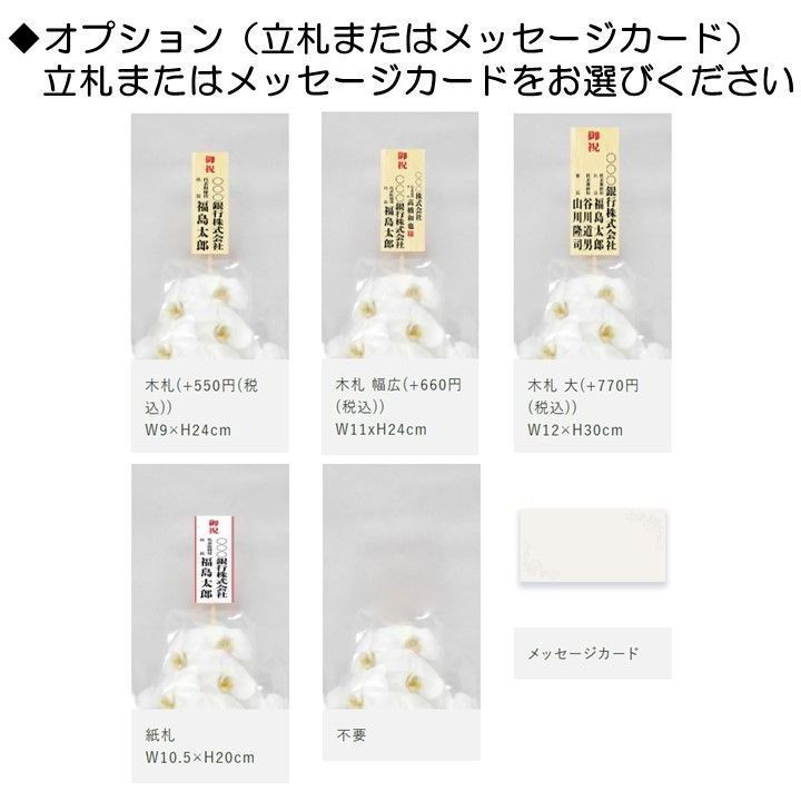 大輪胡蝶蘭白３本立