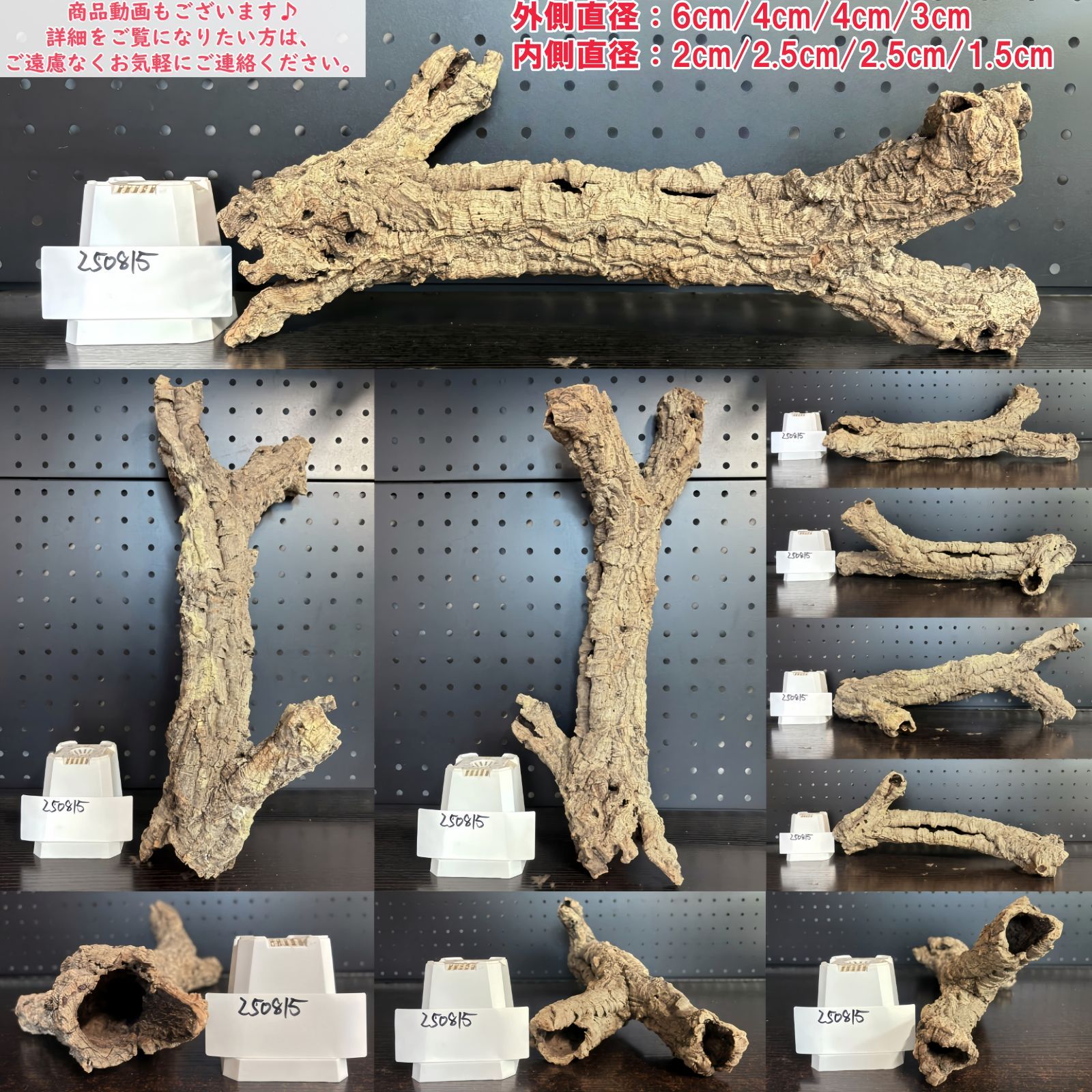 250822 ポルトガル産 キャノンコルク コルク樹皮コルク板