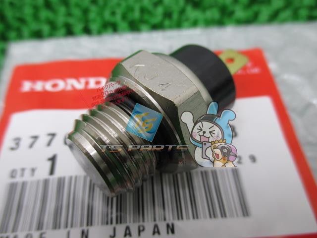 明 中国美術 青花 染付 唐草 乳瓶 景徳鎮窯系 軍持 水瓶 乳首 徳利 酒器