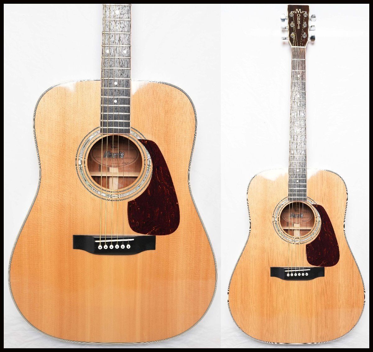 Morris TF W-50 ハードケース付き ギター Morris TFモーリス W-50 縦 