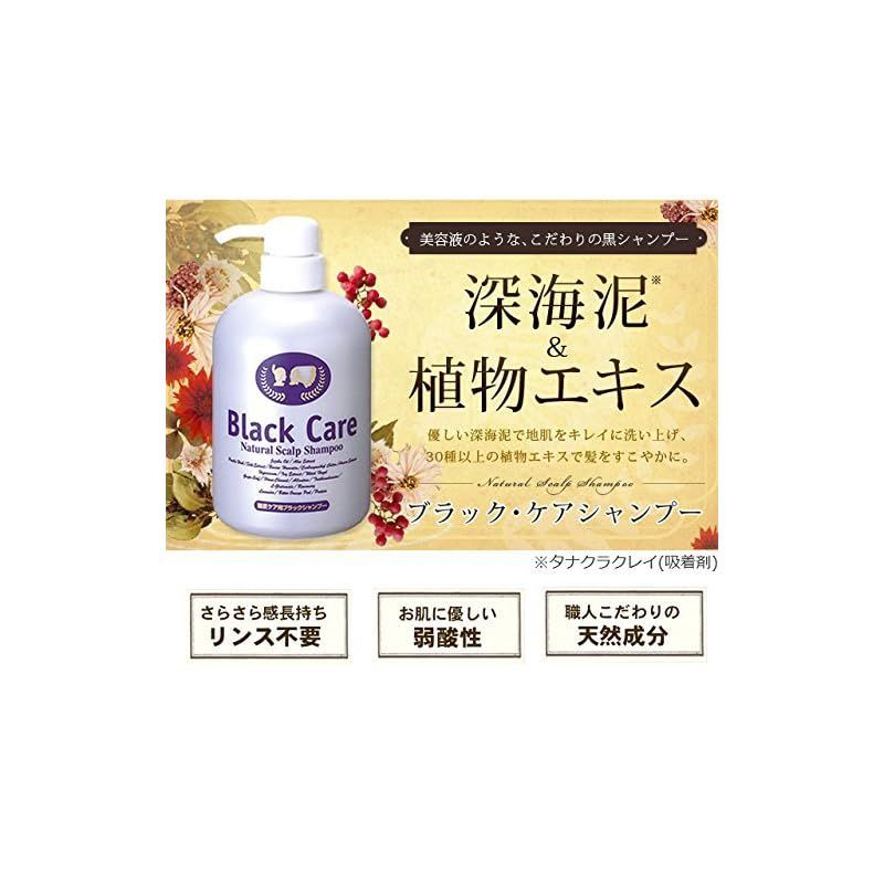 ブラックケアシャンプー新品600ml