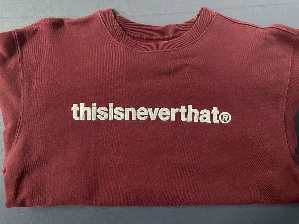 Thisisneverthat thisisneverthat(ディスイズネバーザット ネバザ) パーカー L （ 100 ）