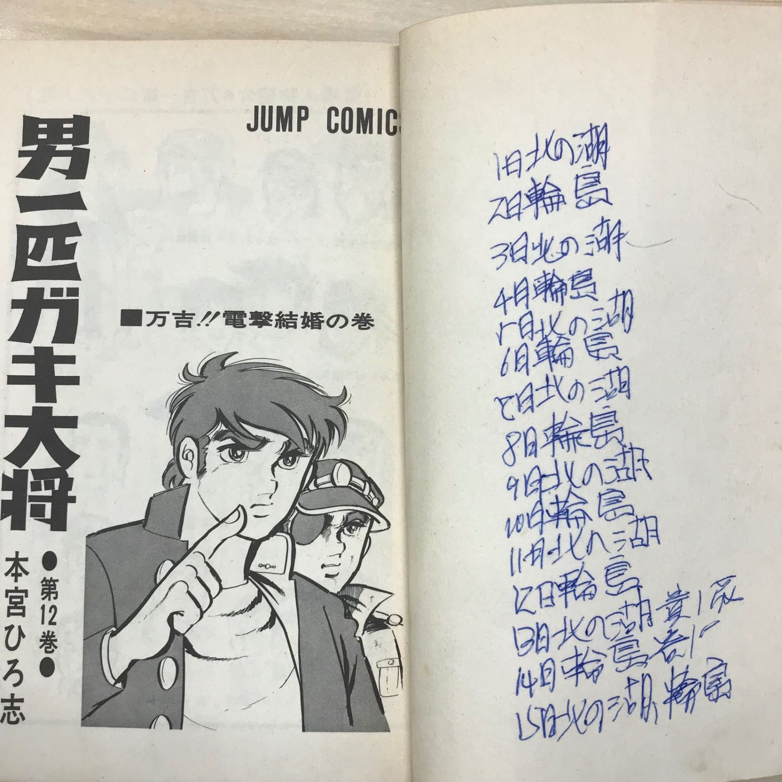 男一匹ガキ大将 男一匹ガキ大将 2巻〜17巻（抜けあり）15冊セット/【作者】本宮ひろ志