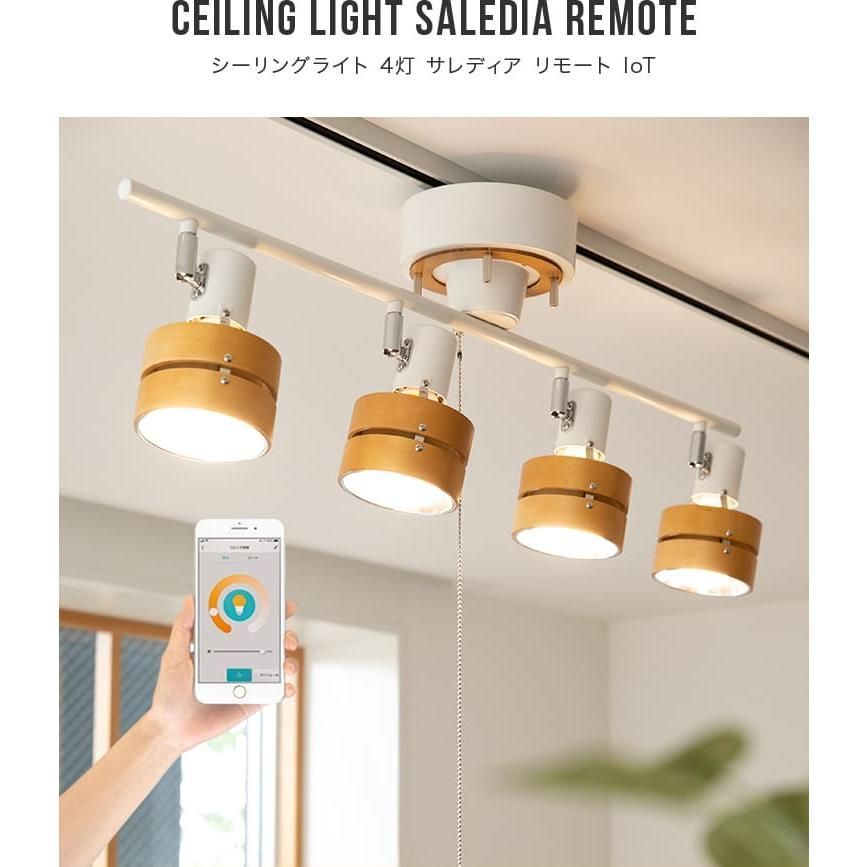 フランスアンティーク　ミニシェード　/ガラスシャンデリアランプペンダントライト フランスアンティーク ミニシェード /ガラスシャンデリアランプ