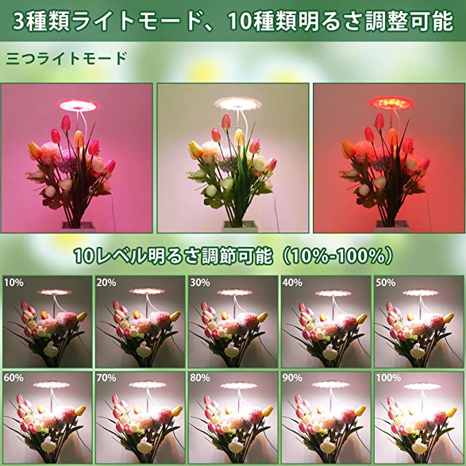 100％本物 水耕栽培キット 植物育成 LEDライト付 省スペース型 コンパクト ミニサイズ 野菜栽培キット 栽培キット 植物育成ライト 家庭菜園  園芸 栽培 観葉植物 ガーデニング インテリア 父の日 プレゼント 自由研究 エコ SDGs サステナブル