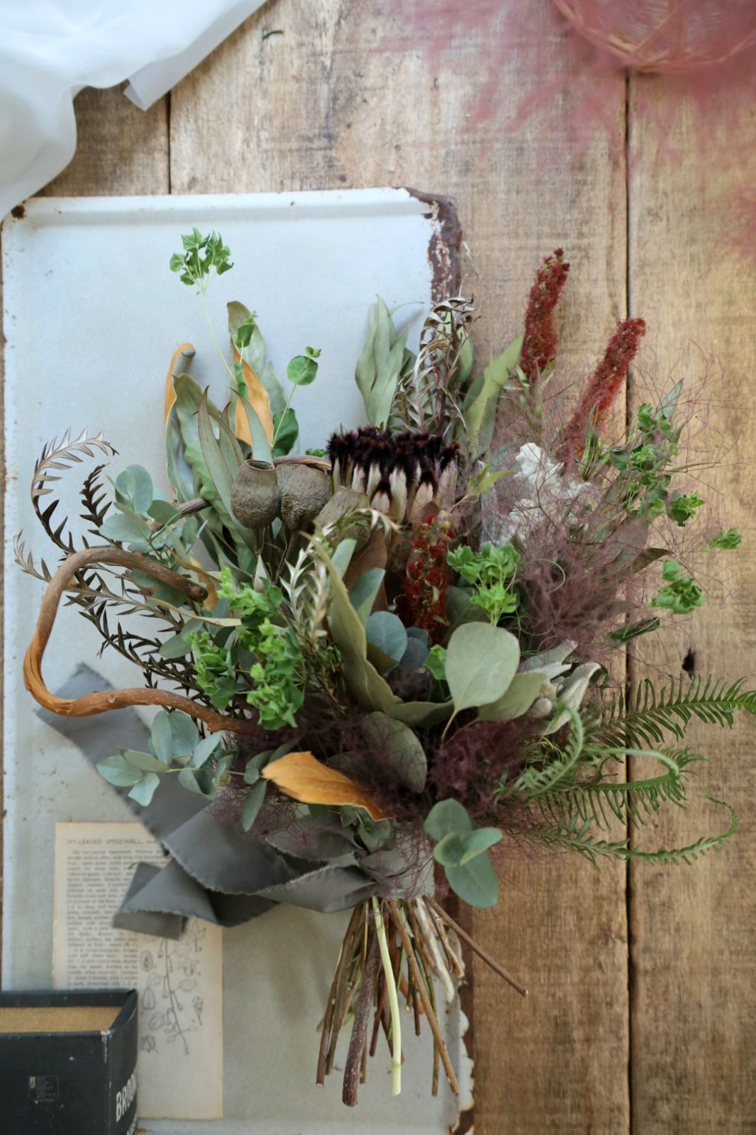 専用＊プロテア&スモークツリー ドライフラワースワッグ 【公式通販】