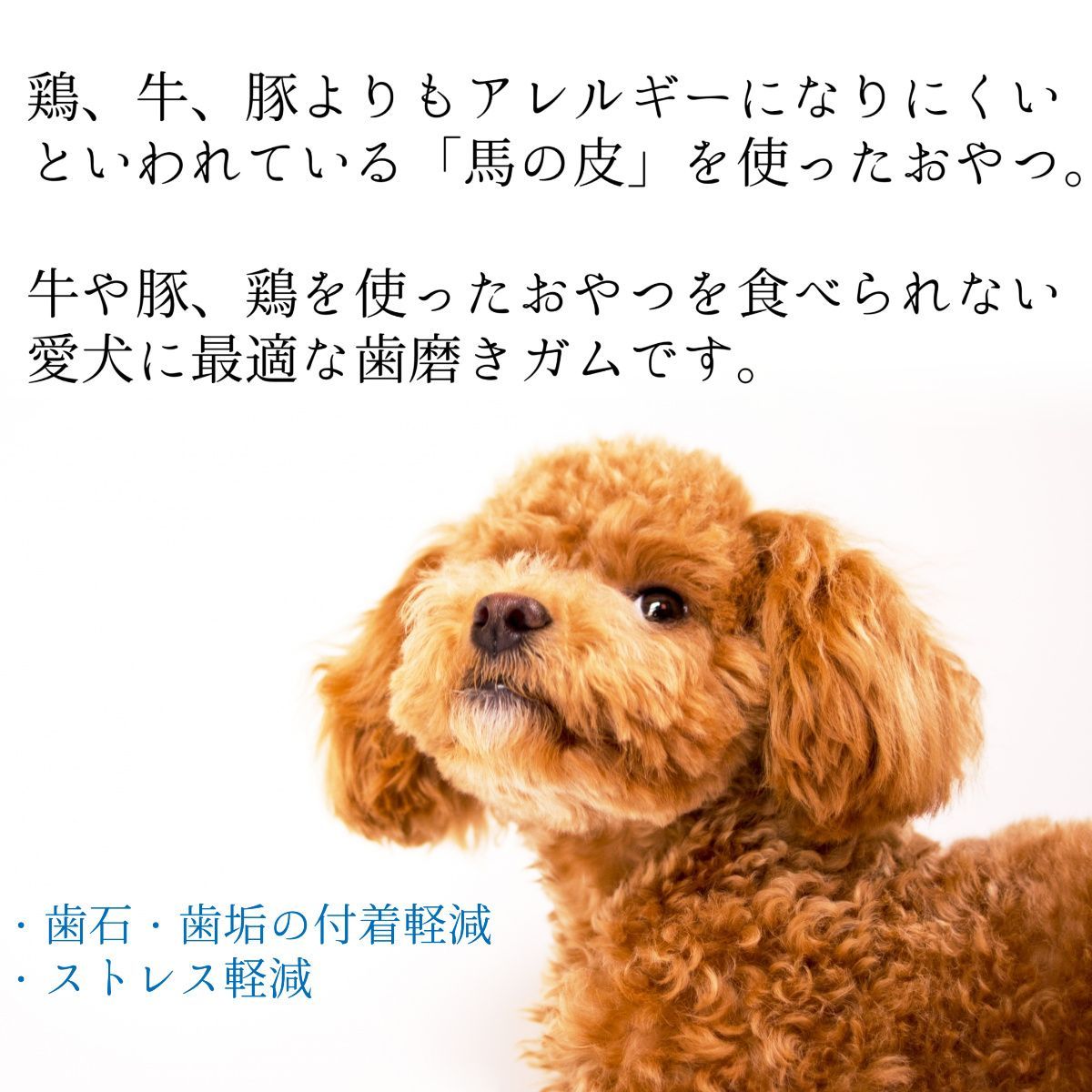 Wowono! ワオーノ! プレミアム 国産 無添加 馬皮 デンタルスティック 50本 - KYOICHIYA - メルカリ