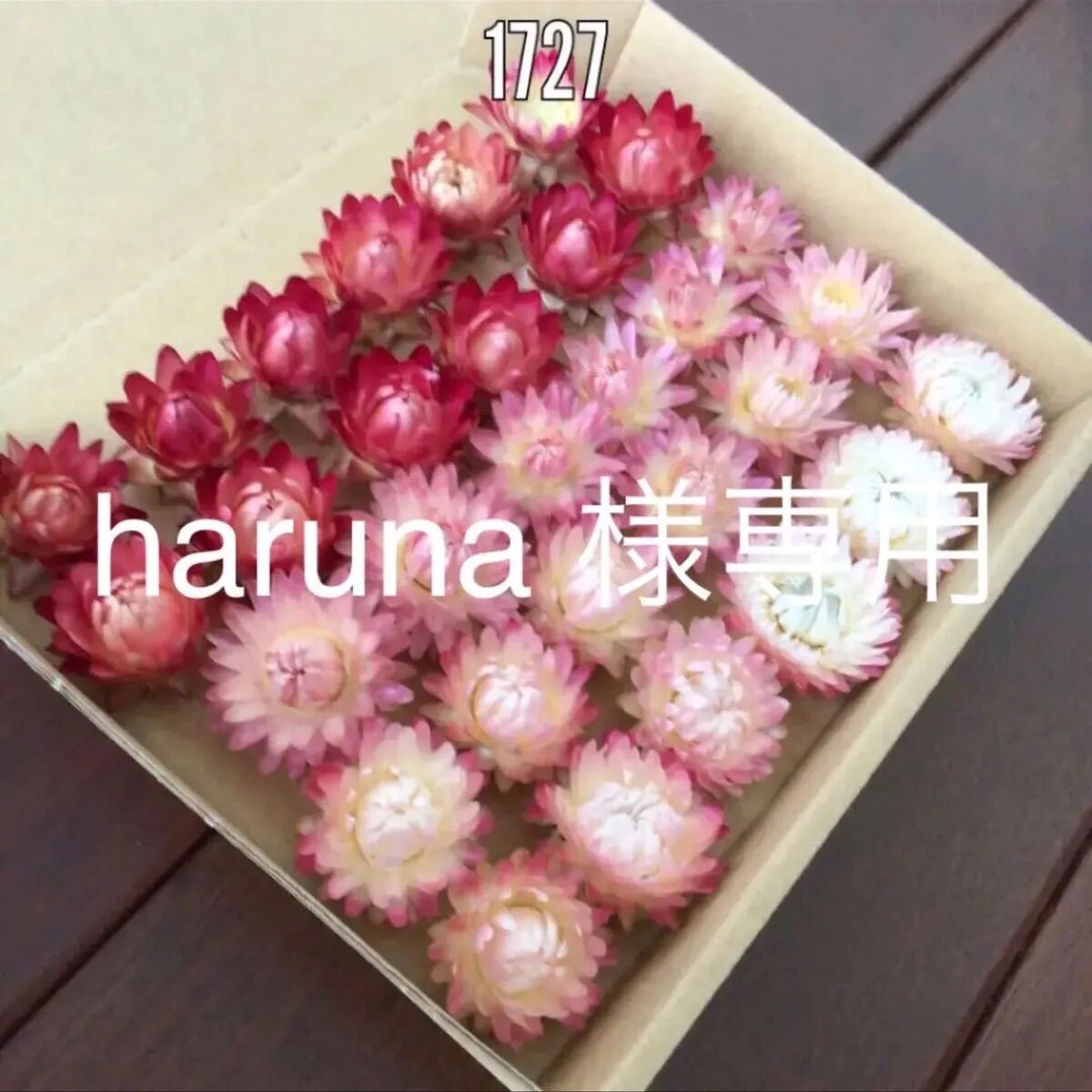 haruna 様専用 貝細工 ドライフラワー - メルカリ