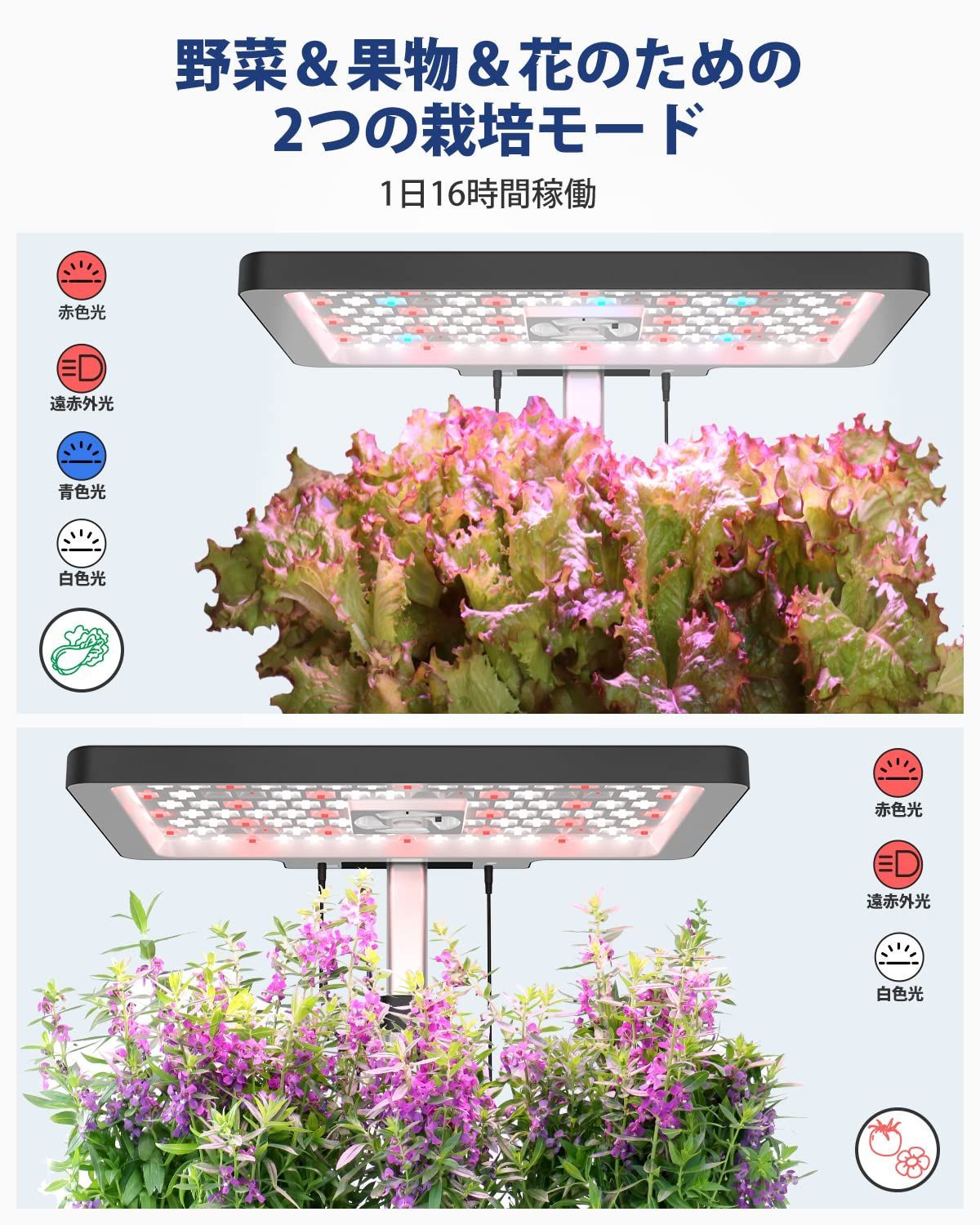 水耕栽培キット 12株 室内 家庭菜園 植物育成LEDライト 自動水循環