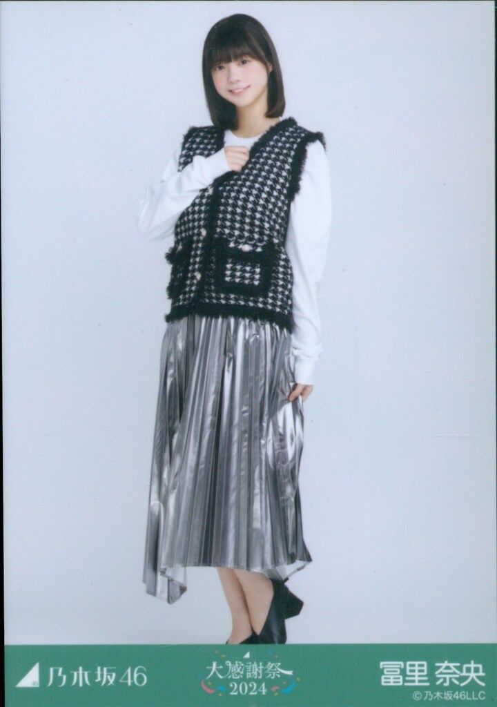 乃木坂46 生写真 冨里奈央 大感謝祭2024 千鳥格子 ダウンベスト6枚コンプ 乃木坂46 生写真 冨里奈央 ダウンベスト 千鳥格子 コンプセット