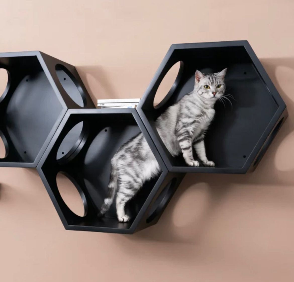 猫用品 ねこハウス