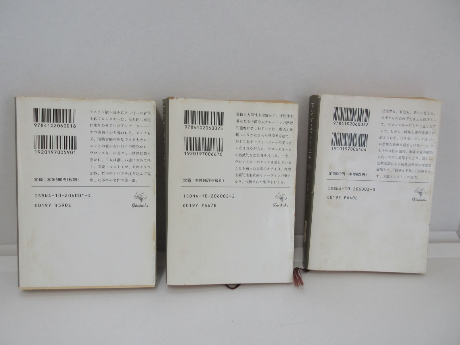 トルストイページ 1_000000000668.jpg?1757036689