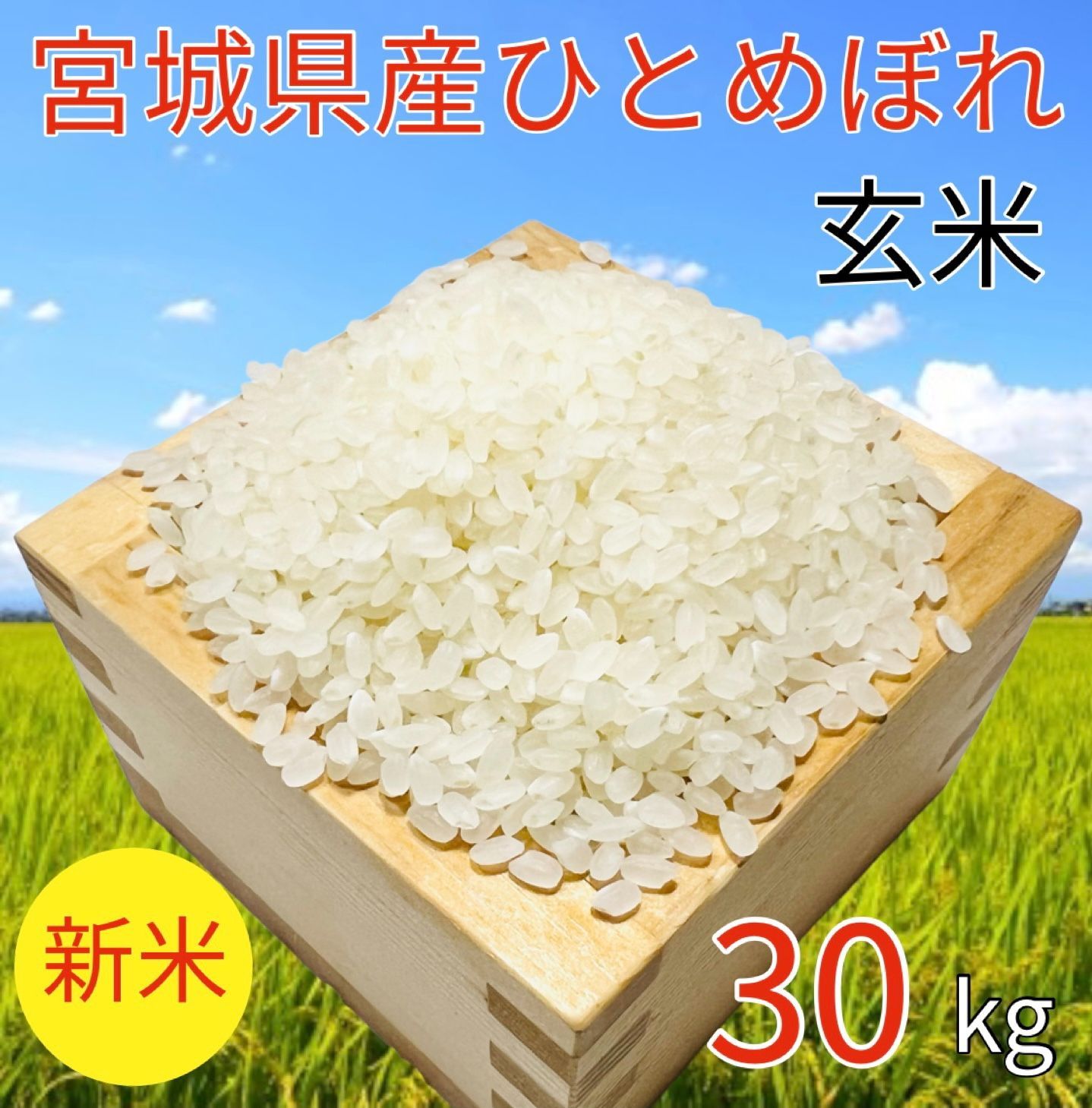 令和3年宮城県産ひとめぼれ玄米３０キロ - 米