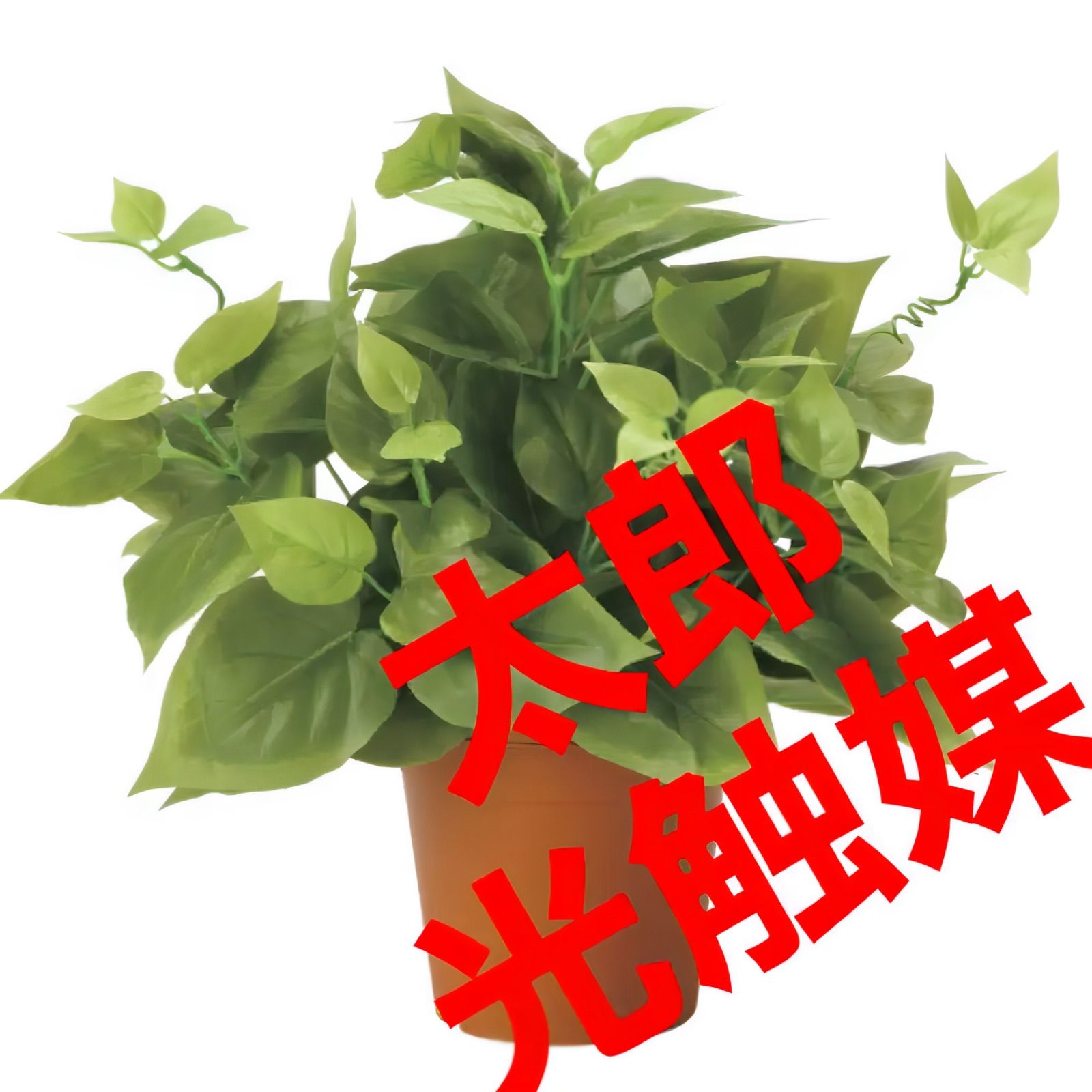 光触媒 人工観葉植物 ウォールグリーン フェイクグリーン ライムポトス37 ‼️太郎‼️ メルカリ