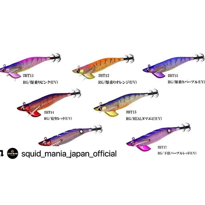 スクイッドマニア　ワイルドチェイス　BーTR 3.5号　新色 スクイッドマニア ワイルドチェイス B-TR 3.5号 30g / SQUID