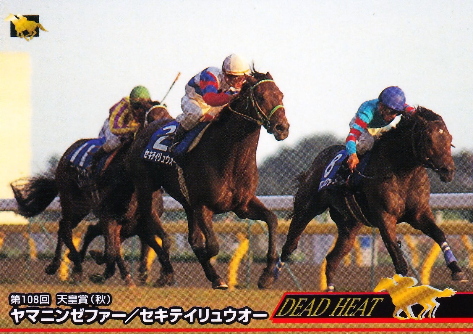 競馬パネル：ヤマニンゼファー「1993年 第108回天皇賞（秋）」 ライスシャワー 1993年 第108回天皇賞(秋)(GI) (優勝馬