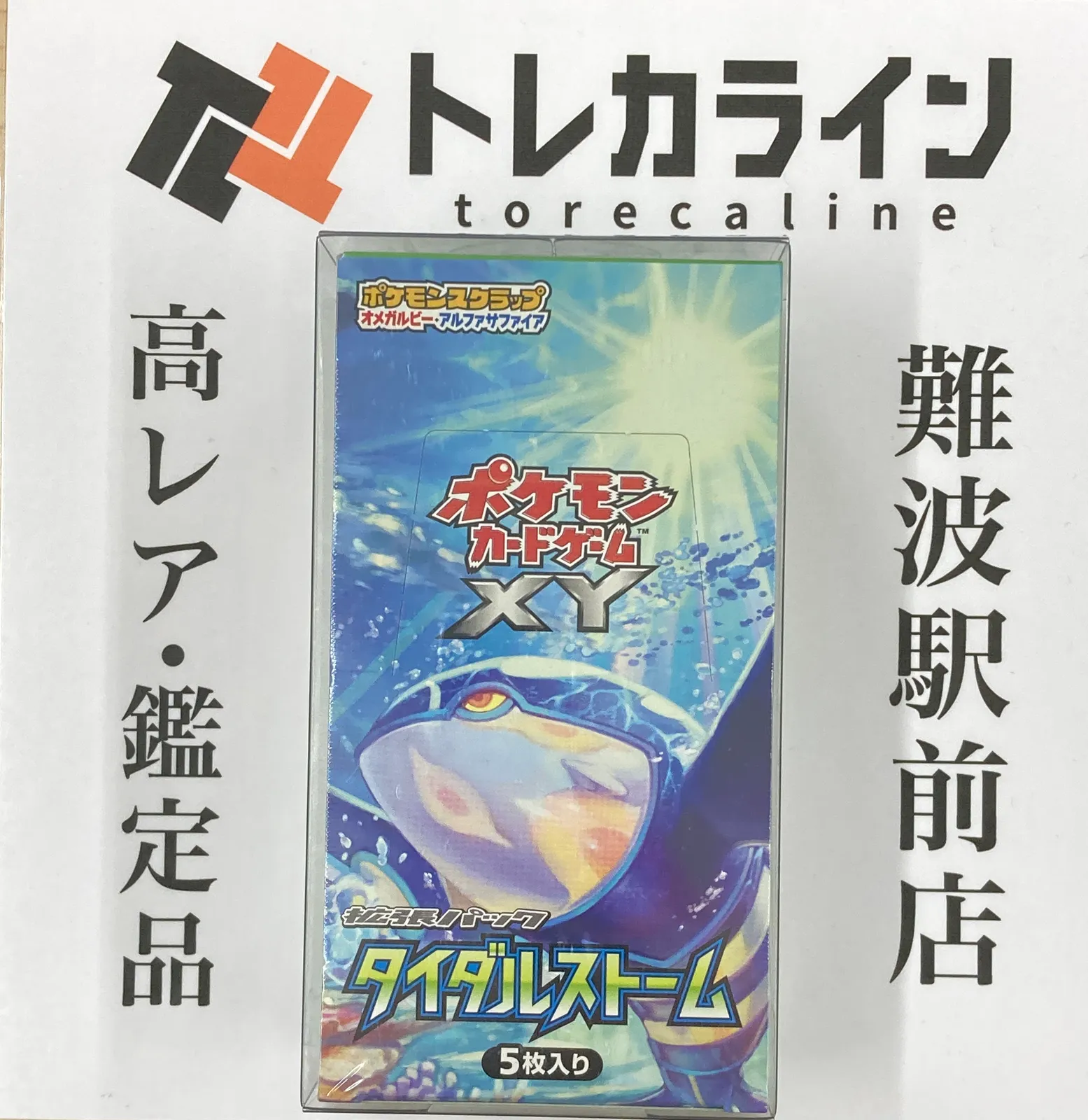 2025年最新】ポケモンボックス ルビー&サファイア 未開封の人気