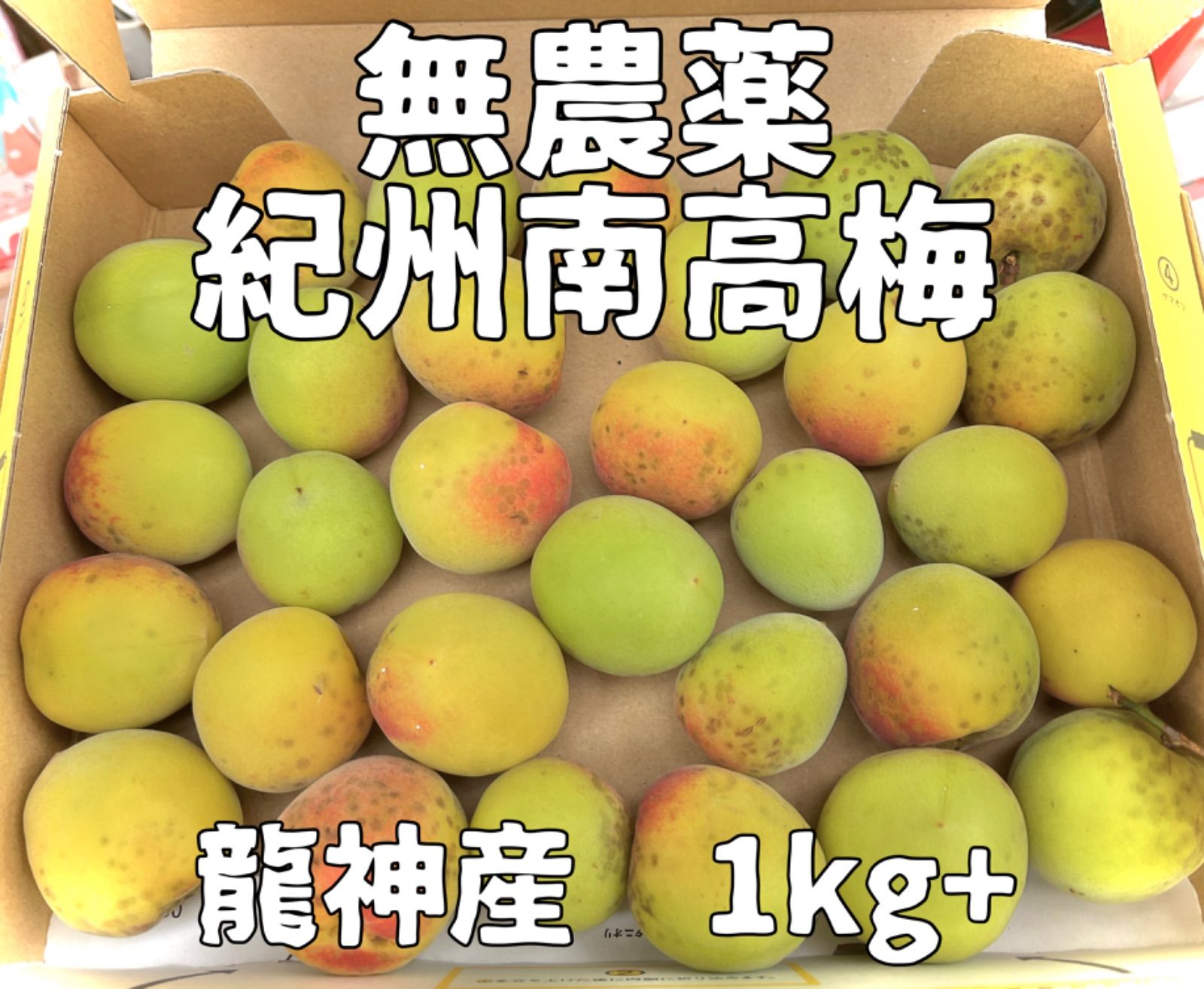 無農薬 南高梅 完熟 黄色 10kg-