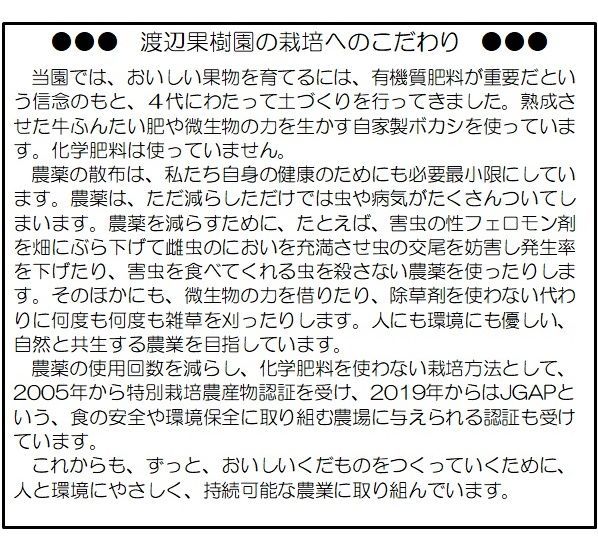 （12月下旬より）印度りんご箱込2kg【特別栽培・JGAP認証】