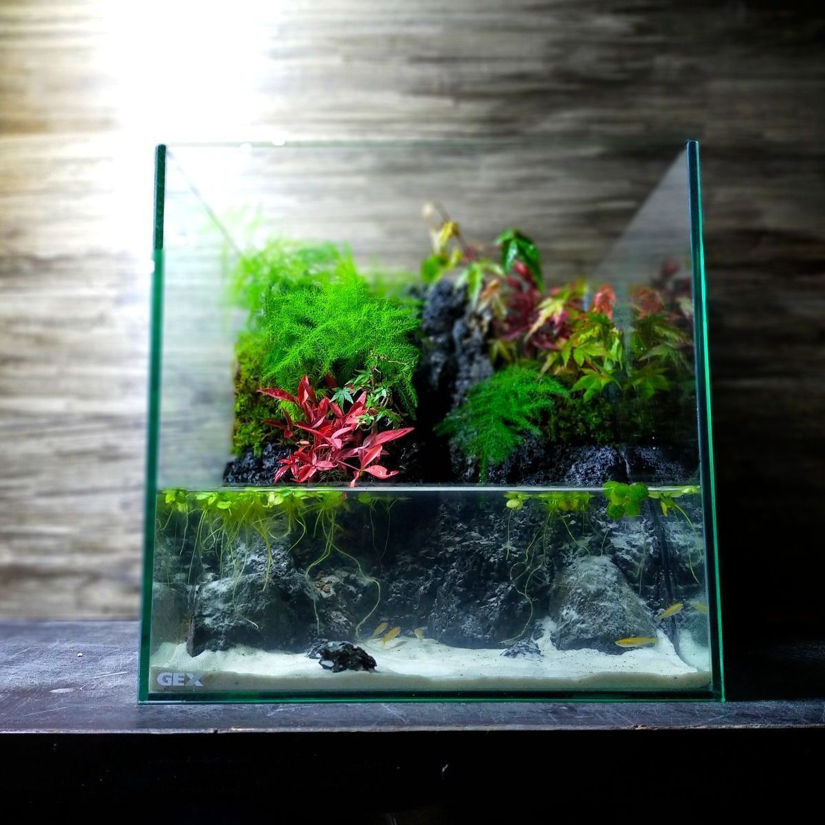 滝の流れるアクアテラリウム RON1011様専用 - メルカリ